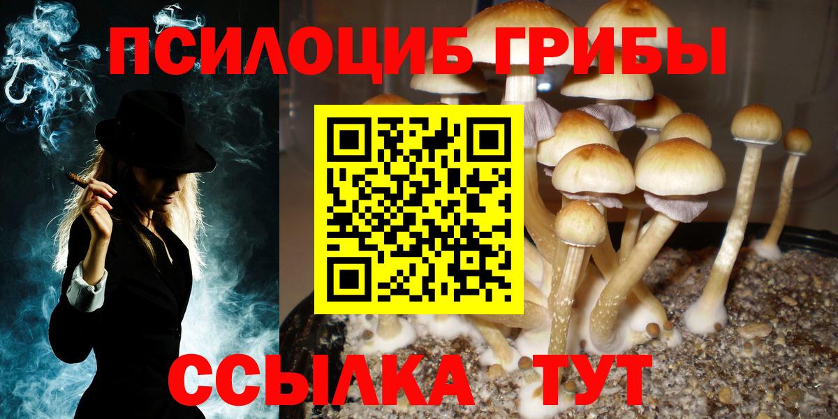 Галлюциногенные грибы MAGIC MUSHROOMS  Вход с VPN  Михайловка 